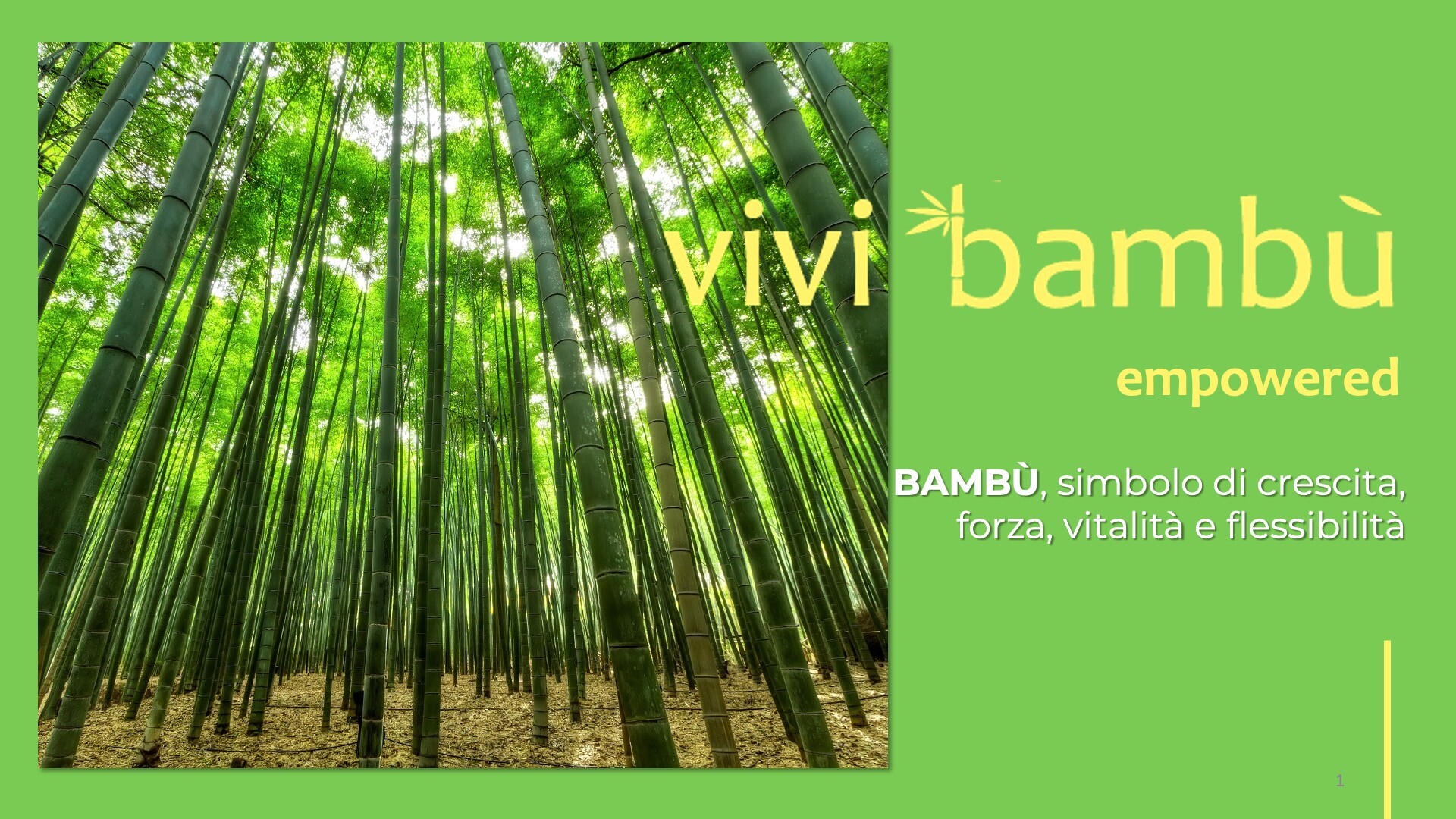 Bambù Gigante risorsa dai mille utilizzi